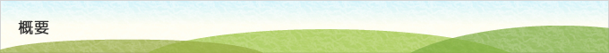概要