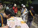 初夏の爽やかな風の中、伊予市健康づくりの会主催のウォーキング大会に参加してきました。